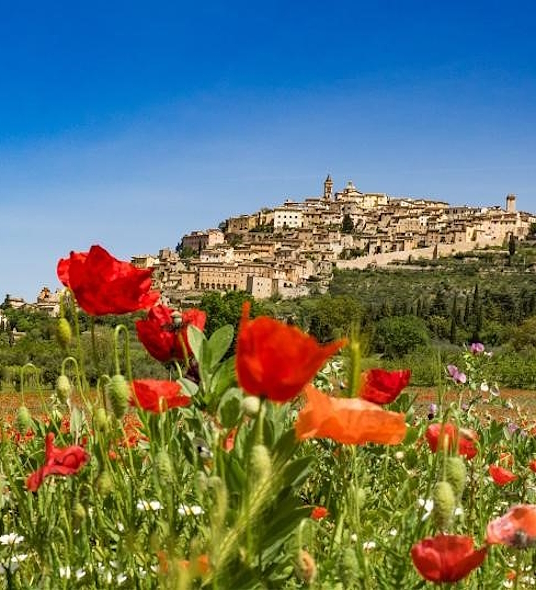  Un champ de coquelicots rouges au premier plan, avec un village médiéval perché sur une colline verte sous un ciel bleu. 