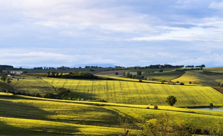Titolo: Il Percorso Verde del Fiume Nestore