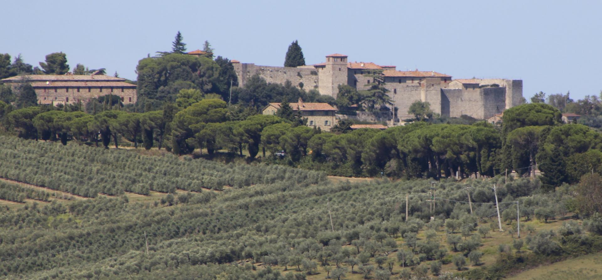 Titolo: Collelungo, a fortified village two steps from San Venanzo