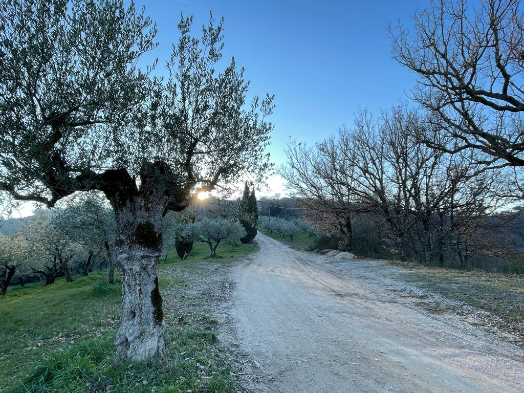Titolo: Bettona Ring Trail