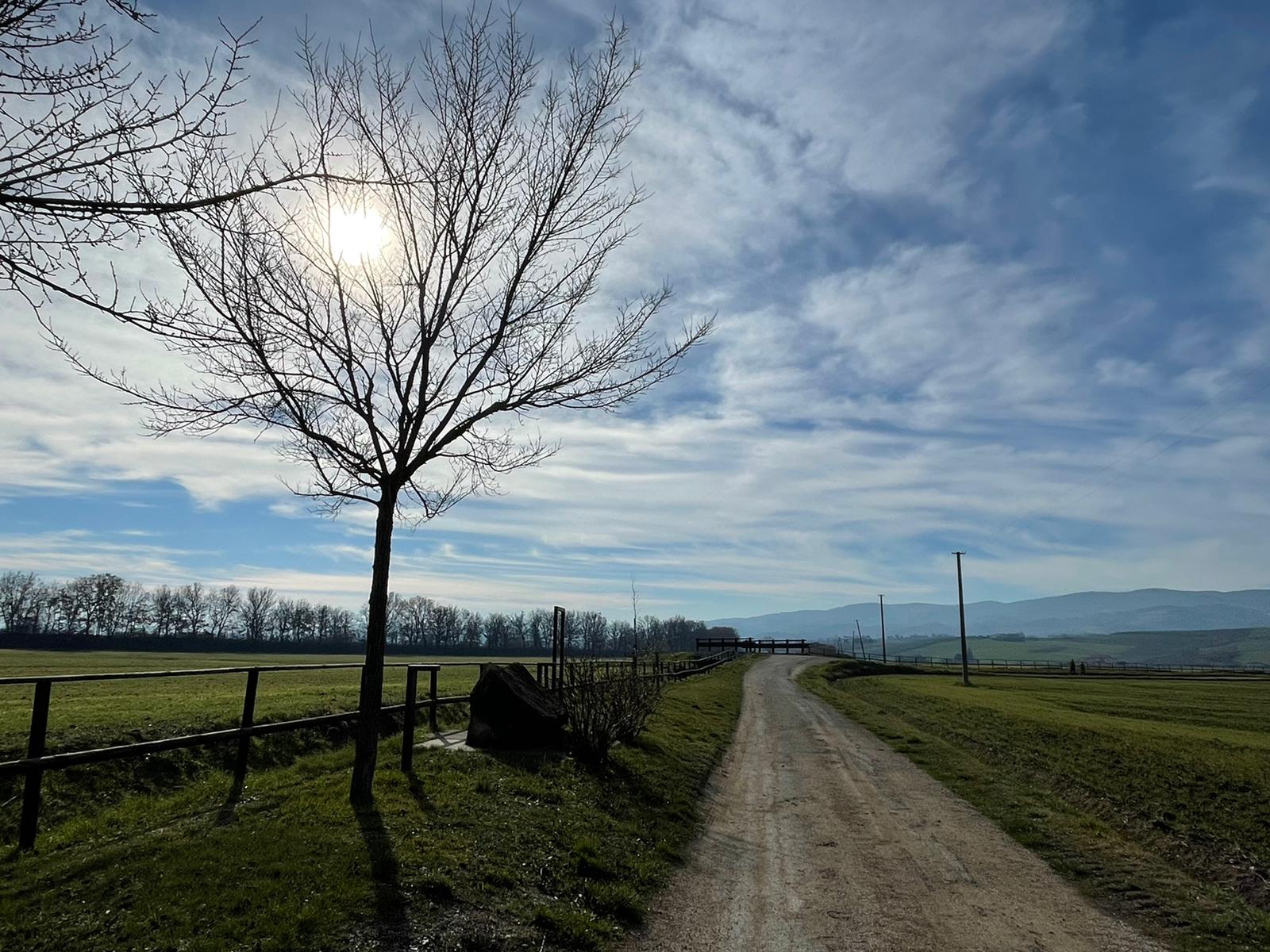 Titolo: Ring trail Cannara - Piandarca