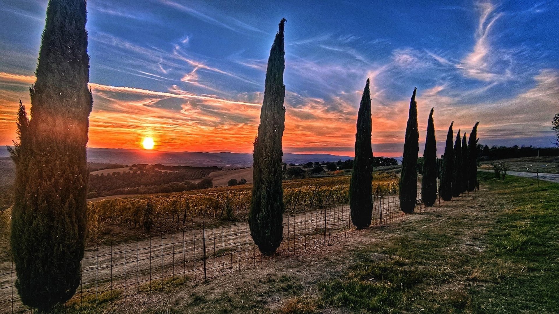 Titolo: Collazzone - Torgiano - Collazzone