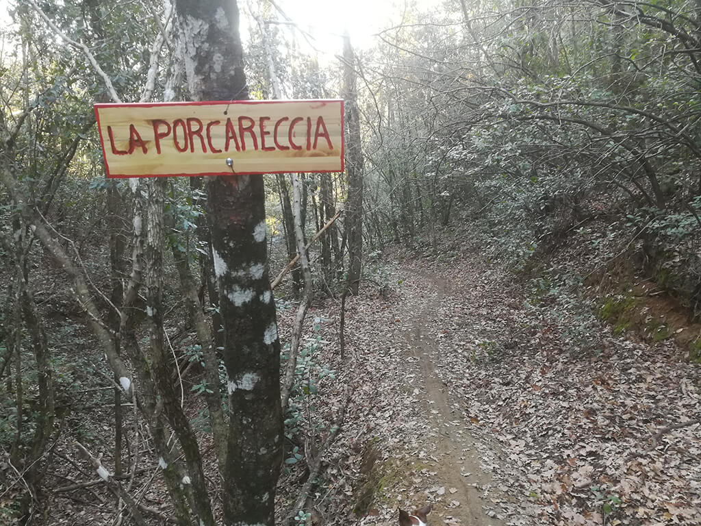 Perugia Vecchia Park - Bettona