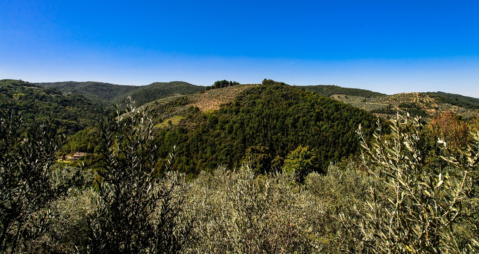 Titolo: Cannara - Collazzone - Cannara